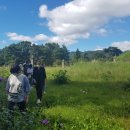 주봉초등학교 이미지