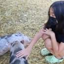 채이농장 이미지