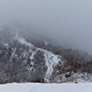 양지할머니 이미지