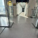 혼자 떠난 도쿄여행|4박5일 도쿄|신주쿠 여행|나리타공항|맛집추천|일본 러쉬|일본 환전|디럭스토어...