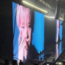 시온정육점 | 위시 앙콘 후기 ( 43구역 시제석, H 구역 스탠딩, 롯데시네마 라이브 뷰잉)