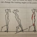 척추자세교정 걷기 테라피 이미지