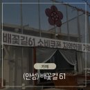 61 | 경기도 안성) 카페 배꽃길61 내돈내산 후기｜조용한 대형카페, 아이랑 가기 좋아요