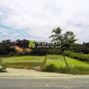 강남동-7 이미지