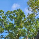 개화산 진입로 | 개화산을 가다