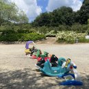 양평양떼목장 이미지