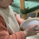 밥태기 우리아이 시판이유식추천 엘빈즈 이유식 후기 진밥이유식 (무료체험 링크 포함)