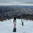 무주여행 덕유산 눈꽃산행 2.15 실시간 등산후기