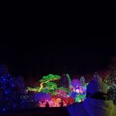 오색로뎀나무아래 | 경기도 가평 아이랑 가볼만한곳, 아침고요수목원 야간개장 오색별빛정원전