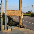 차롱민박 | 제주 구좌읍 한식 맛집_바람에 스치운다