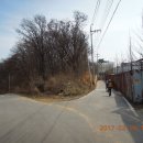 안중읍 금곡삼거리 이미지