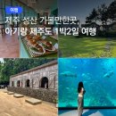 해맞이목장 | 성산 가볼만한곳 총정리! 아기랑 제주도여행 1박2일 코스 추천