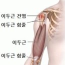 에스지연합의원 이미지