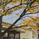 예술광장1로 | 서울 예술의전당 맛집 빌라드샬롯 예술의전당점 양식 메뉴 후기