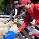 아리랑목장 이미지