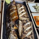 [은평 우리동네배움터] 나만의 취향을 찾는 커피 여행 | 당진 생선구이 맛집 화덕으로 간 고등어 당진원당점 다녀온 후기