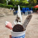 [2024 동국대 축제(1)] 청춘과 방황 사이, 그리고 축제