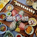 수원-1448 | [영통회수산] 수원 영통 횟집, 모듬회 솔직후기