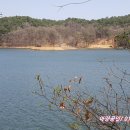 금광레이크펜션 이미지