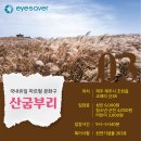 EYESAVER 안경콘택트 봉선점 네이버블로그