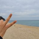 등명해변 이미지