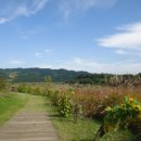 연천 한여울팜파크 글램핑장 이미지