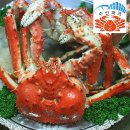 극동대게식당 | 확보한 블루 킹크랩싯가 파괴 및 마가단 러시아대게 가격 1년 중 최저가 공습 (집들이음식 홈파티 메뉴...