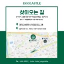 도그바라기 이미지