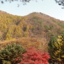 저의 안사람 첫 작품 보여드립니다. : 사랑의 교회 제천 기도 동산 ! 이미지