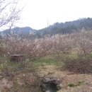 정상농장 이미지