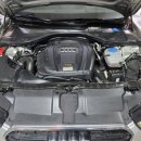 애니카랜드 서구점 이미지