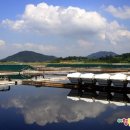 빛과갯벌-2 이미지