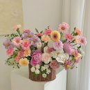 올로르플라워 Olor Flower 이미지