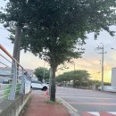 삼장주유소 이미지