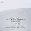 바라안 이미지