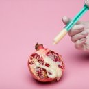 수정-132 이미지