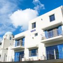 담양솔마루 이미지