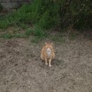 (주)비로소