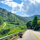 코끼리단양주유소 이미지