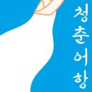 해안로 229번길 이미지