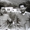 세중주 이미지