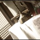 녹연 - 음성군 | 녹연