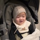 하도 조은 | 퍼니퍼니 아기판다 6~12개월 한달 수업 후기