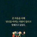 유명갈매기 이미지