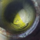 오토오아시스 청주영운점 이미지