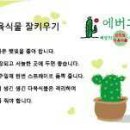 에버그린농장 이미지