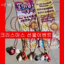 세계조가비박물관 | 제주가볼만한곳 세계조가비박물관 찐 리뷰 추천