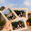 안덕면 산방복지회관 | [제주도 여행] 제주도 여행 스냅 서귀포 사진관 귤밭사진관