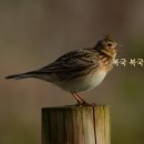 상일세탁소 이미지