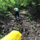 진산농장1 이미지